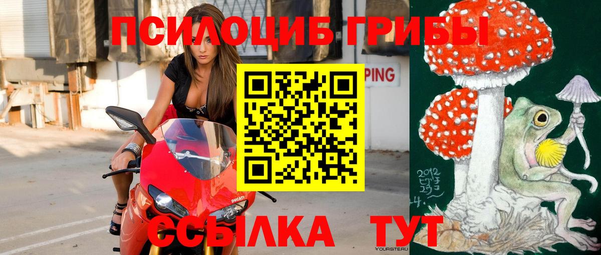 Псилоцибиновые грибы Psilocybe  Дятьково  Псилоцибиновые грибы ЛСД 