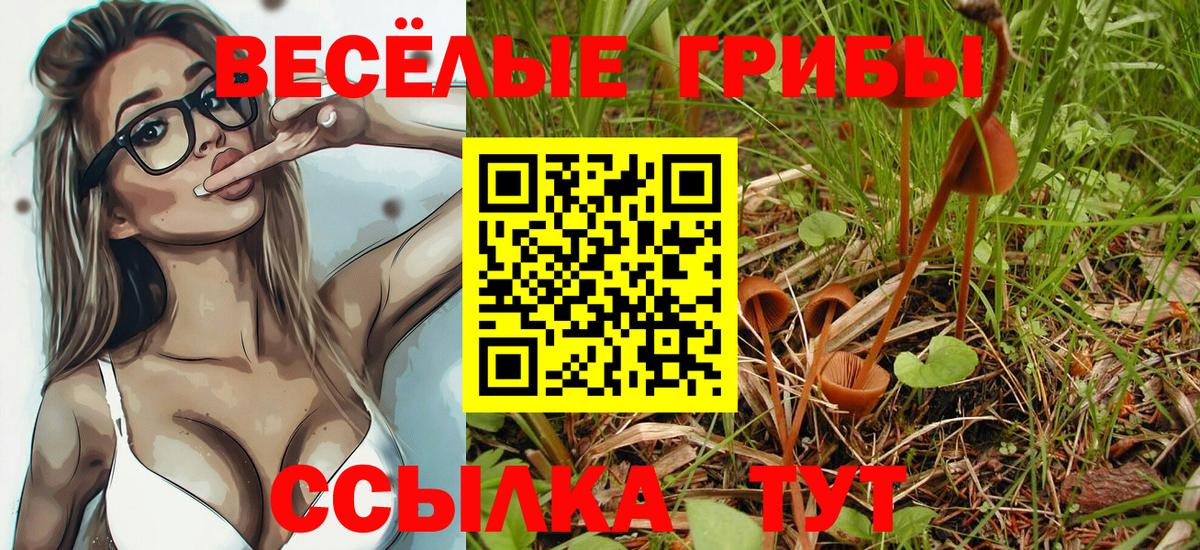 наркошоп  Вход с VPN  Дятьково  Галлюциногенные грибы мухоморы 